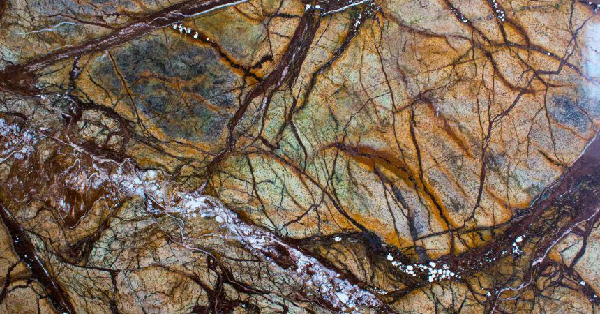 RAIN FOREST GOLD