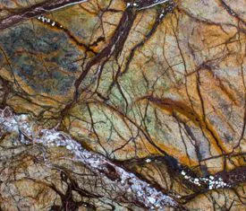 RAIN FOREST GOLD