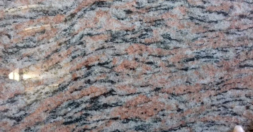 TIGER SKIN
