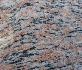 TIGER SKIN