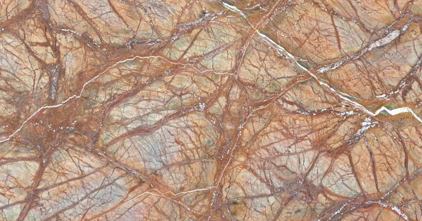 RAIN FOREST BROWN