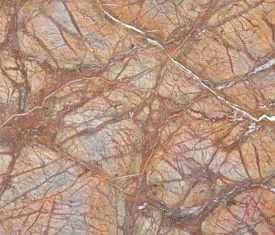 RAIN FOREST BROWN