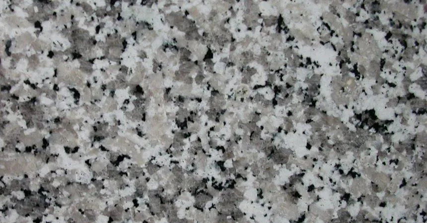 BIANCO SARDO FIORE