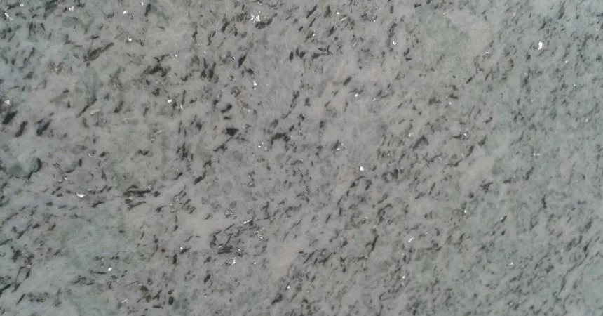 VERDE ARGENTO